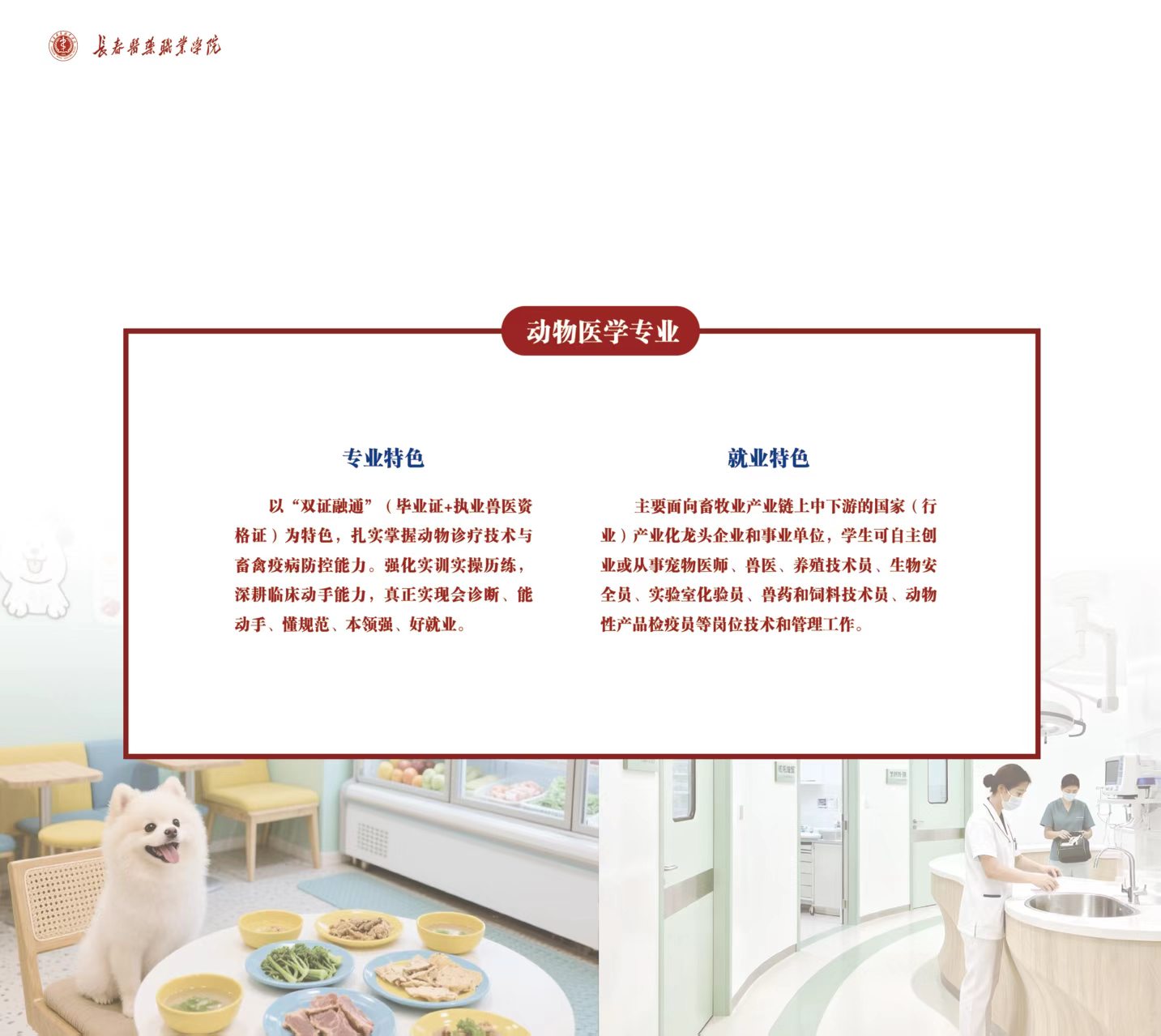 d61b9096015fce7dd6829dc209e40071.jpg