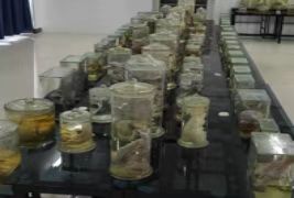 0e7138f2350c18242c3c98dbb662e2b5.jpg 0e7138f2350c18242c3c98dbb662e2b5.jpg